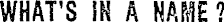 Article image