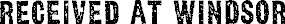 Article image