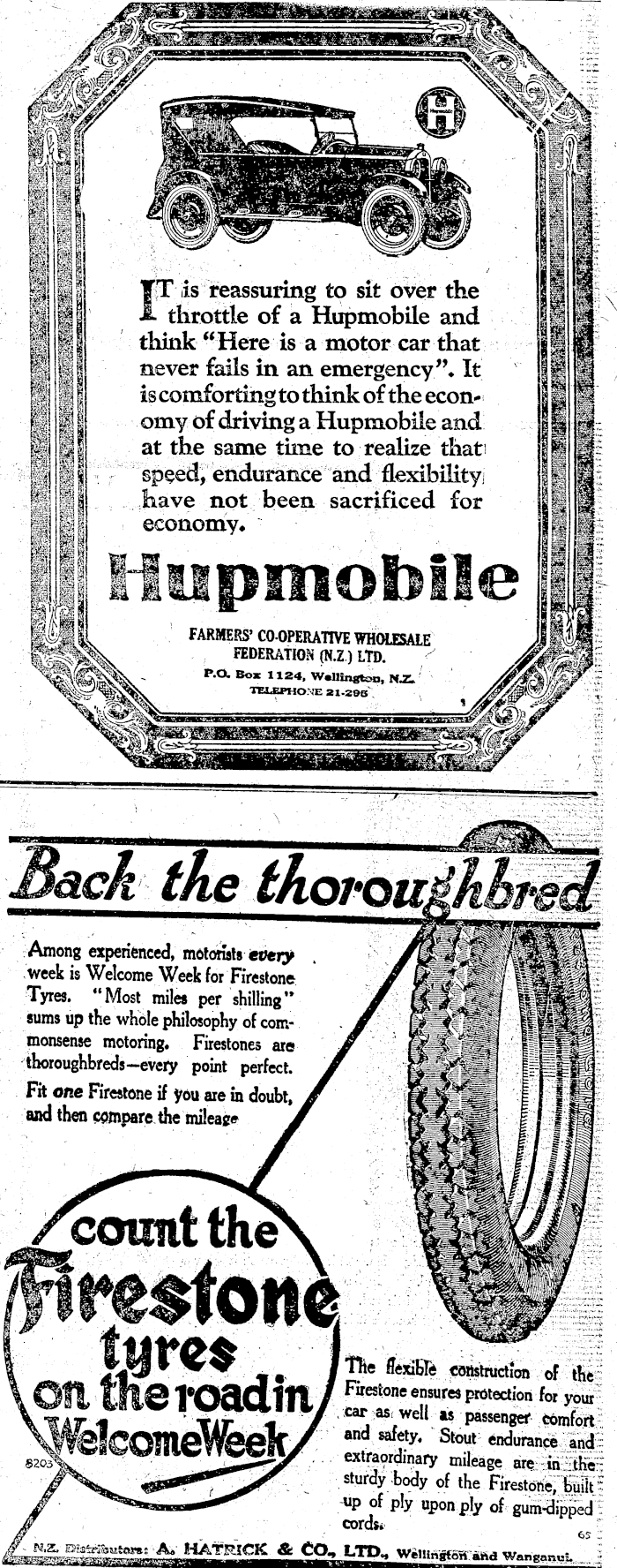 Article image