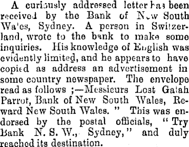 Article image