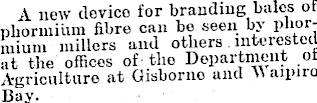 Article image