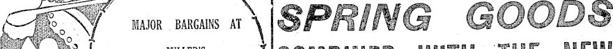 Search result preview image