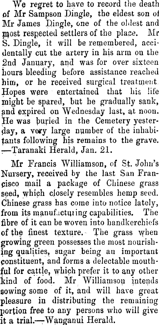 Article image