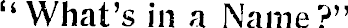 Article image