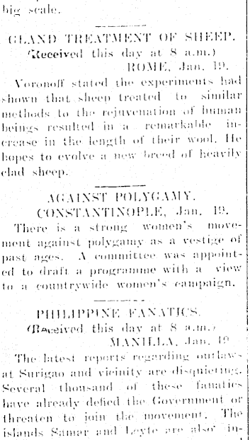 Article image