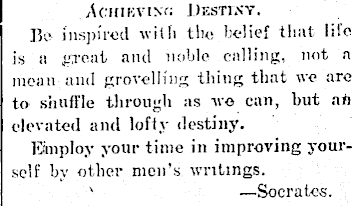 Article image