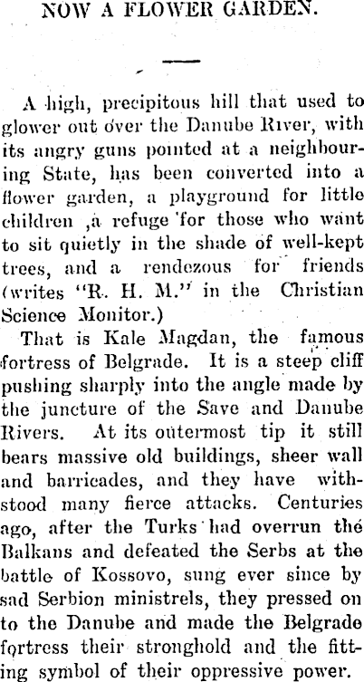 Article image
