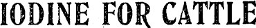 Article image