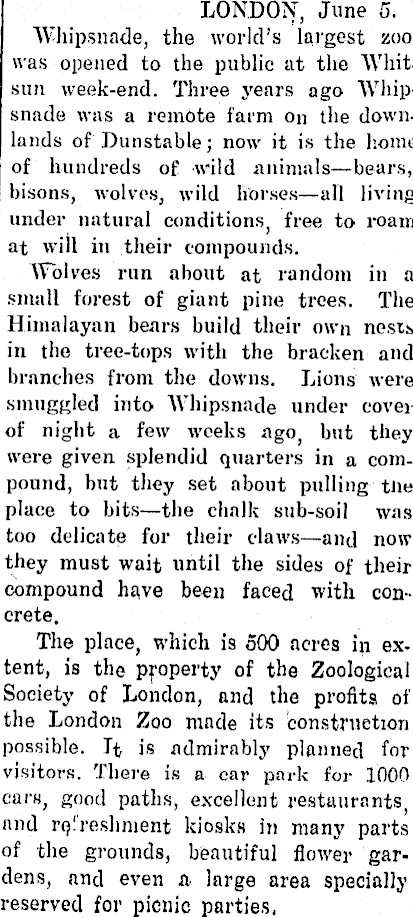 Article image