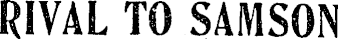 Article image