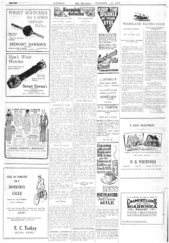 Issue page
