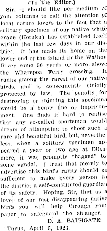 Article image