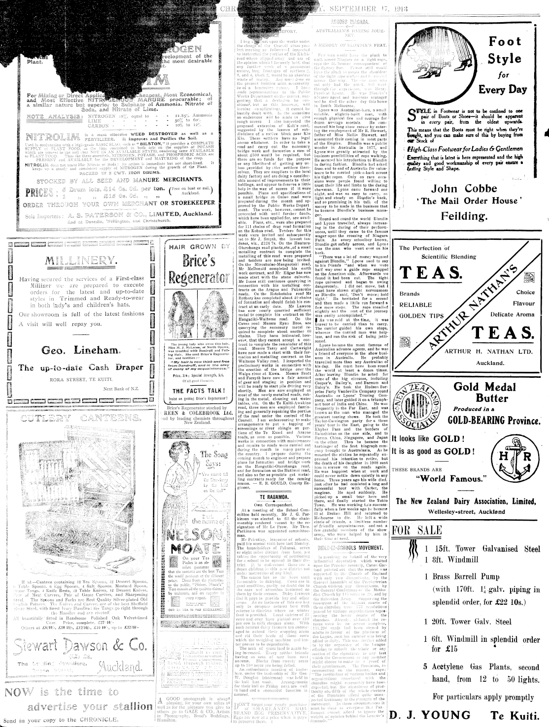 Page image