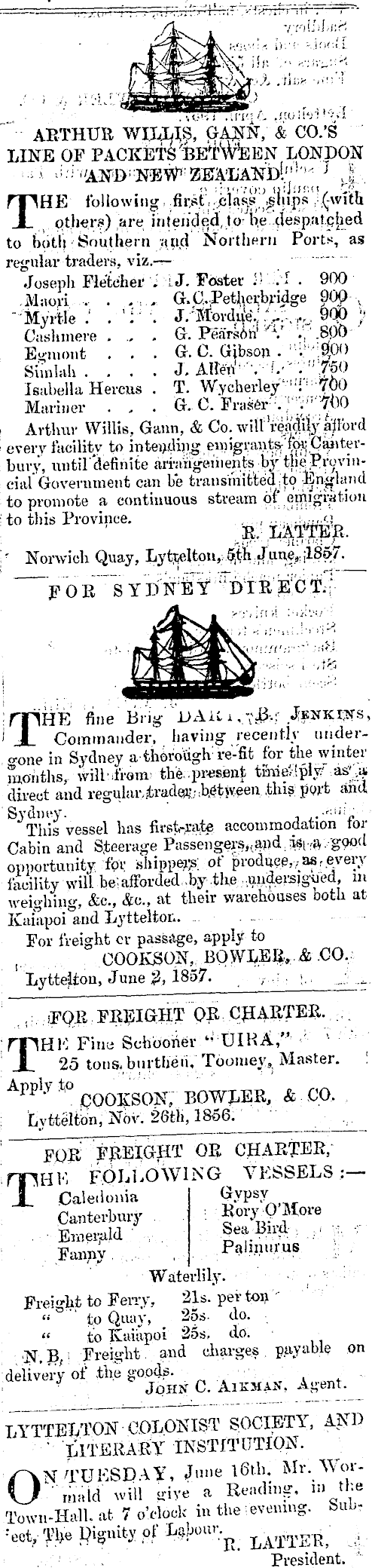 Article image