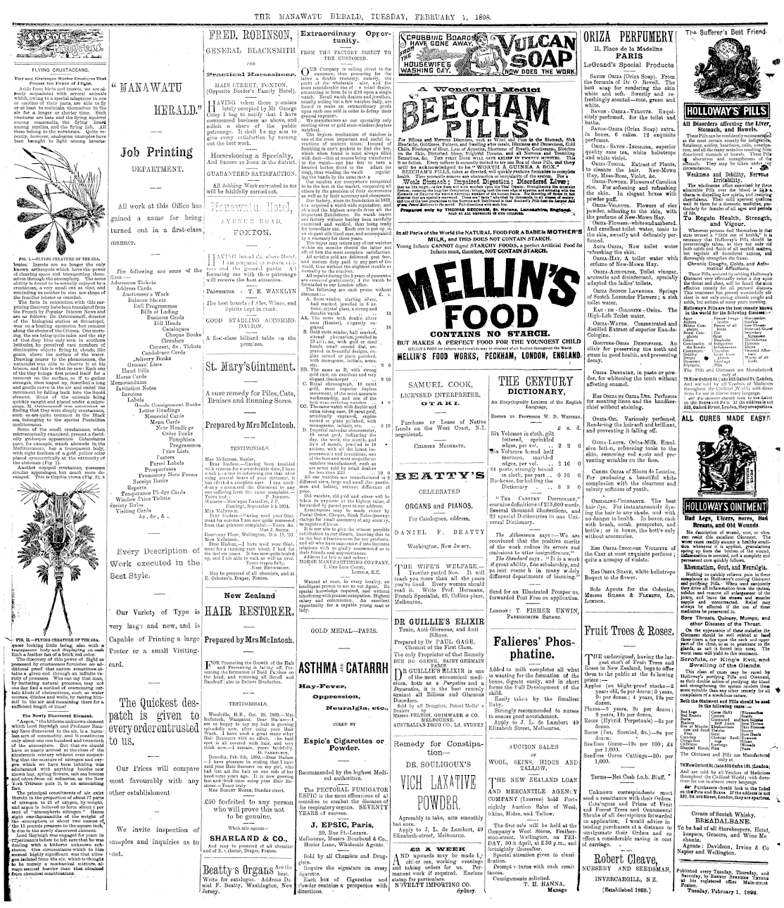 Page image