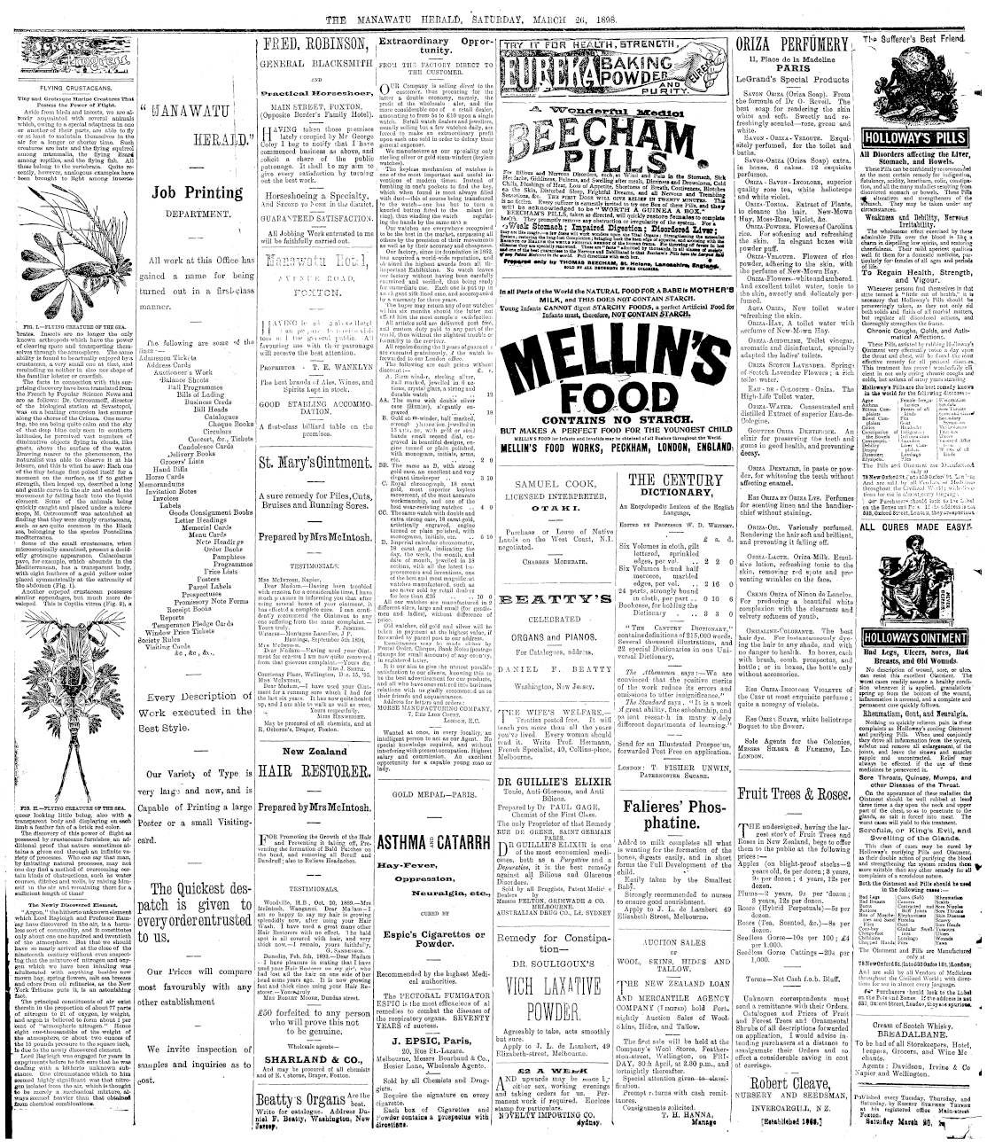 Page image