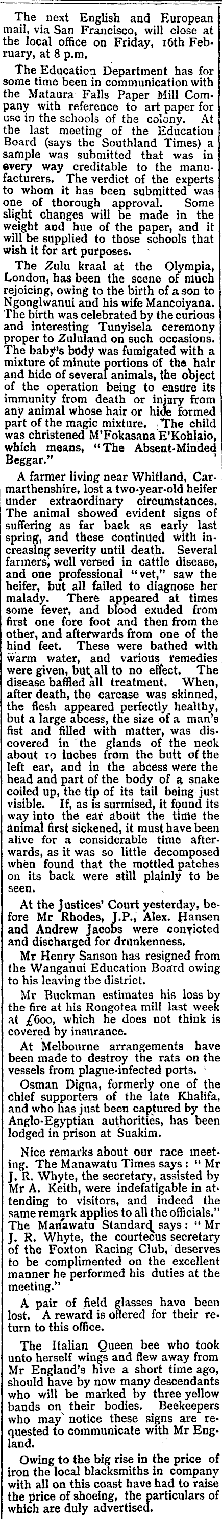 Article image