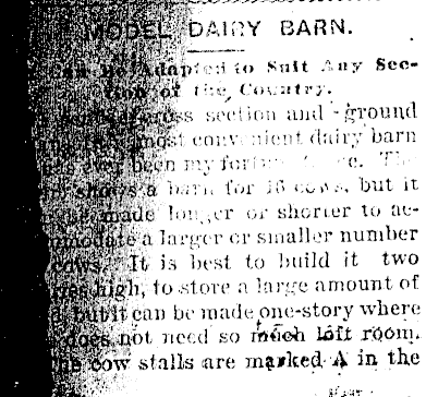 Article image
