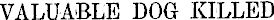 Article image