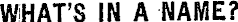 Article image