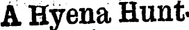 Article image