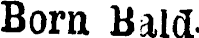 Article image