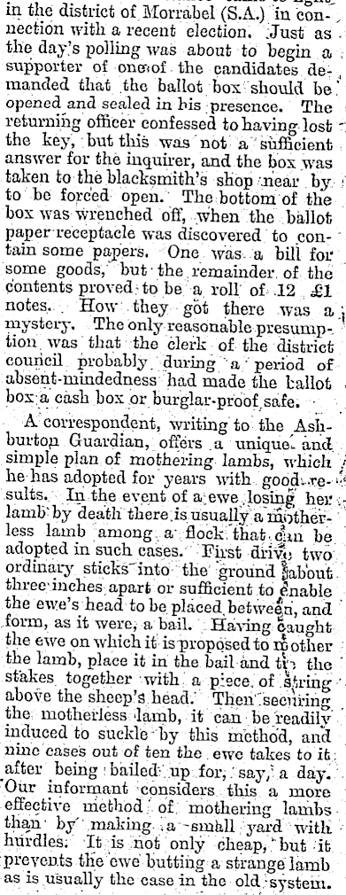 Article image