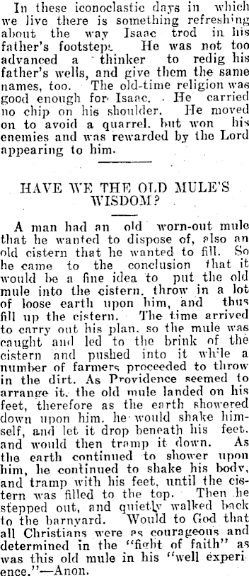 Article image