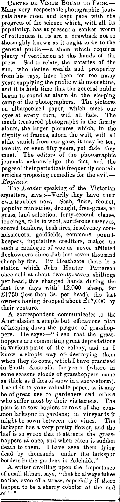 Article image