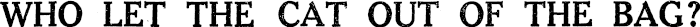 Article image