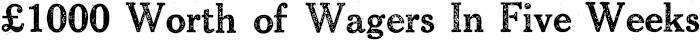 Article image
