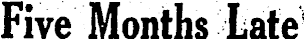 Article image