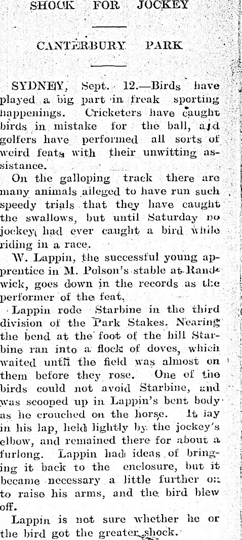 Article image