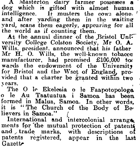 Article image