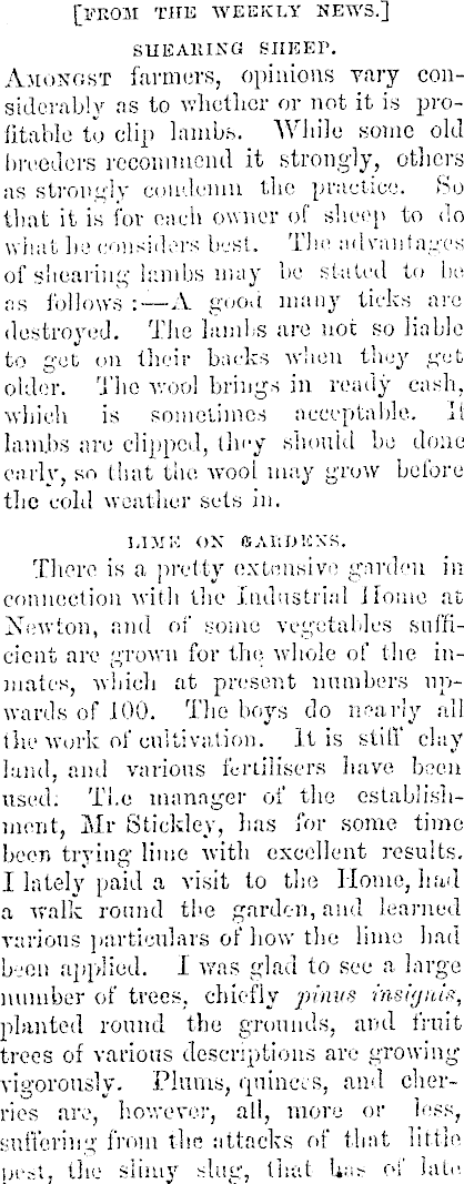 Article image