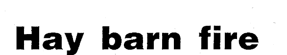 Article image