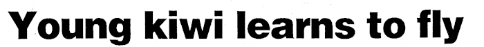 Article image