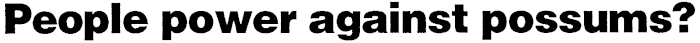 Article image