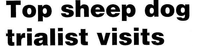 Article image