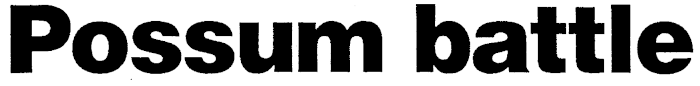 Article image