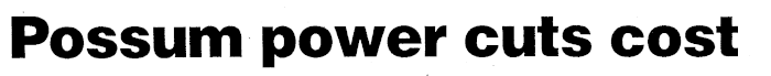 Article image