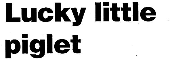 Article image