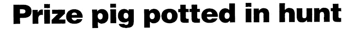 Article image