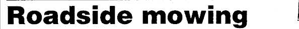 Article image