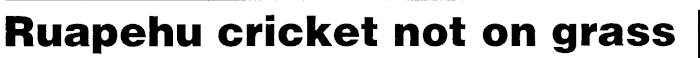 Article image