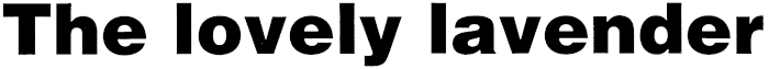 Article image
