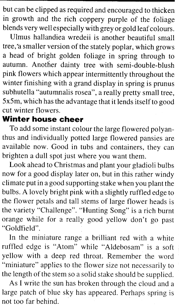 Article image