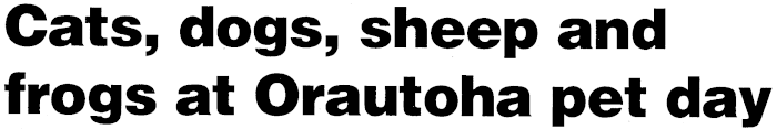 Article image