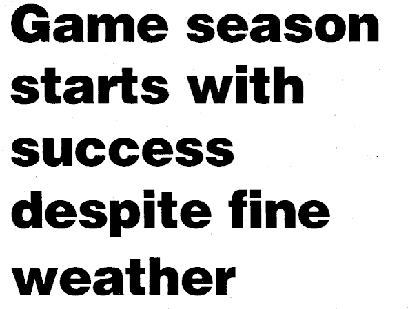 Article image