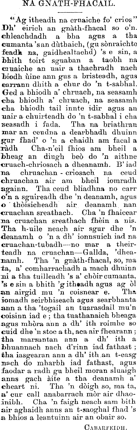 Article image